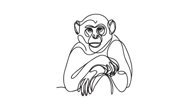a continuous line drawing of a monkey vector