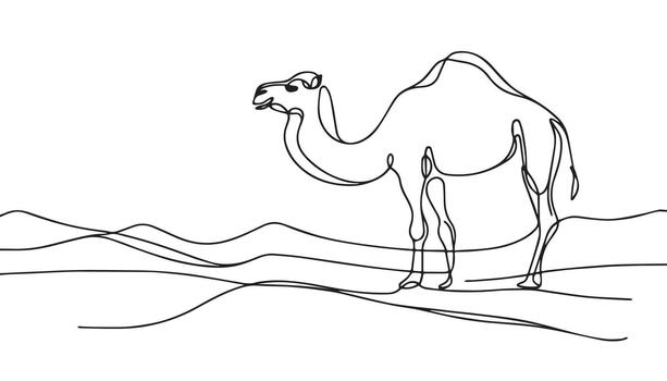 a continuous line drawing of a camel in the desert vector