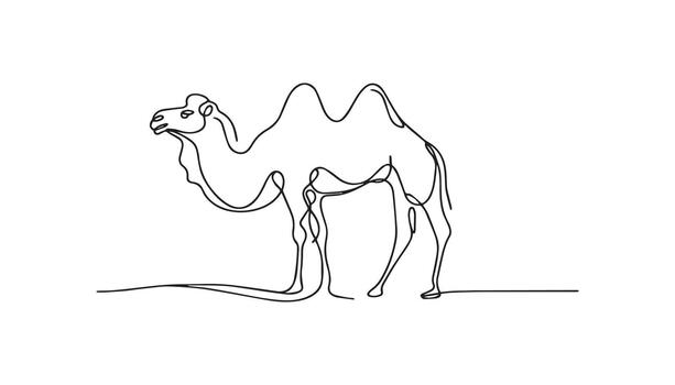 a continuous line drawing of a camel vector