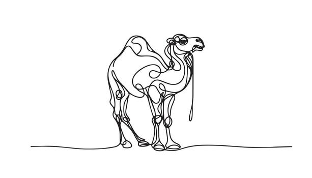 a continuous line art of a camel vector