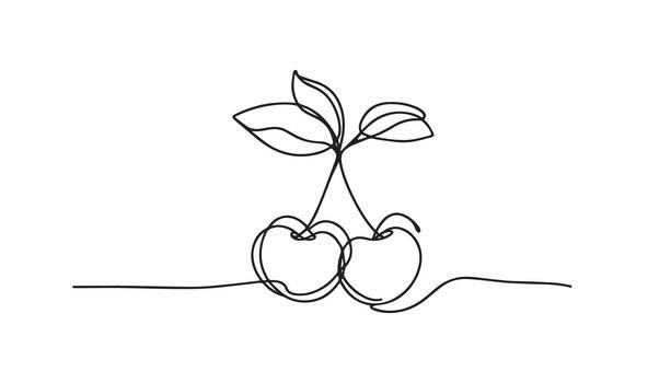 a continuous line drawing of cherries on a branch vector