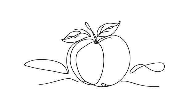 continuous line drawing of an apple on a white background vector
