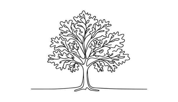 a tree with leaves and branches is shown in a line drawing vector