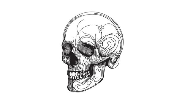 a drawing of a skull with a pattern on it vector