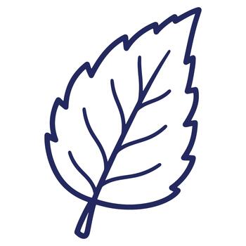 Minimalist Leaf Illustration Depicting Nature and Growth with a Simple Line Art Style for Design Elements vector