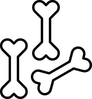 Human Bone Structure vector