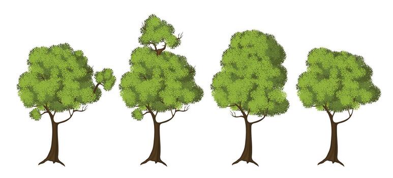 Illustration of four cartoon-style green leafy trees with different shapes and branches, isolated on a white background for design use. Set of cartoon green trees on white background. vector