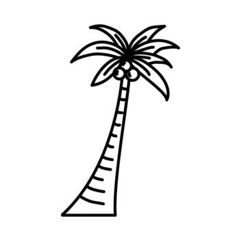 A Simple Black and White Line Drawing of a Palm Tree with Coconuts, Perfect for Tropical Themed Designs and Illustrations vector