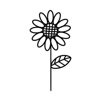 Simple black and white line drawing of a single sunflower with a stem and leaf, perfect for graphic design and artistic projects vector