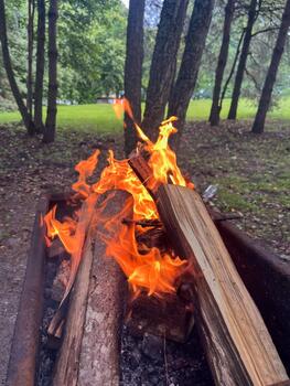 Vibrant flames dance among logs in a rustic fire pit, surrounded by lush greenery and towering trees, creating a serene atmosphere of warmth and tranquility in nature photo