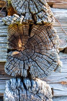 Close-up view of weathered wooden logs showcasing intricate textures and patterns, highlighting the natural beauty of aged timber in a rustic setting with organic elements photo
