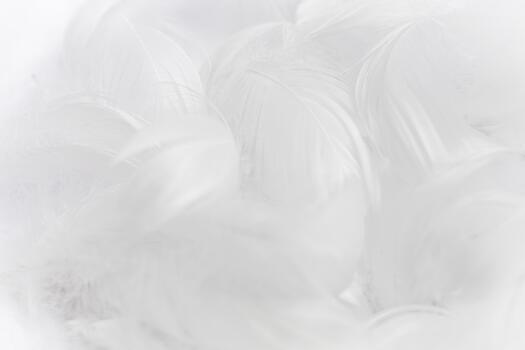 close-up of soft, white feathers arranged in a delicate pattern. The texture is fluffy and light, creating a serene and calming atmosphere. photo