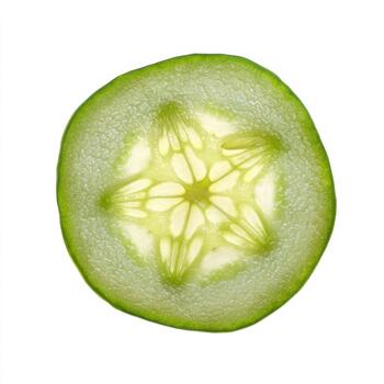 A single slice of fresh cucumber, isolated on a pure white background, displaying its starshaped seed pattern and bright green texture photo