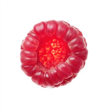 Closeup macro shot of a single ripe raspberry isolated on a clean white background, showcasing its intricate texture and vibrant red color photo