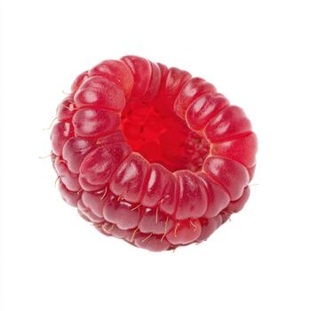 Single ripe raspberry with its characteristic segmented surface, presented in isolation on a clean white background photo