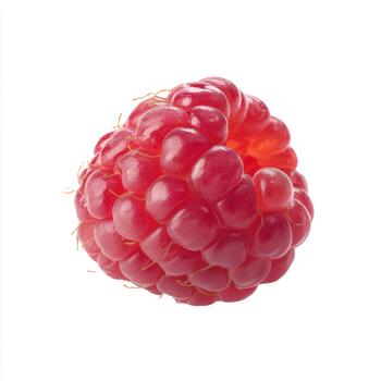 A single, plump raspberry with a rich red color and detailed texture, isolated on white background photo