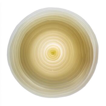 resumen concéntrico círculos con un brillante amarillo centro, creando un sentido de profundidad y enfocar, aislado en blanco antecedentes foto