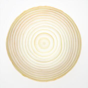 Top view of a sliced onion showing distinct concentric rings on a white background photo