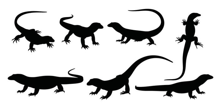 Silhouette of monitor lizard in various poses, a reptile with a long neck and tail vector