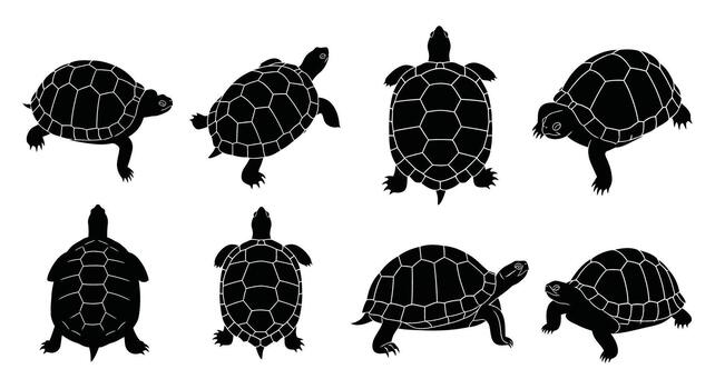 Collection of turtle silhouettes in various poses and angles for design elements vector