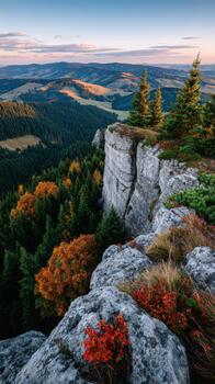 A view of the mountains and forest from a cliff photo