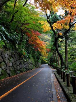 Autumn trees line the road in a japanese forest photo