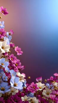 Colorful field of wild daisies and asters in springtime glow photo