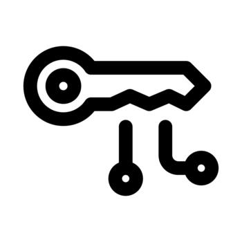 Digital Key Professional Line Icon. Modern illustration representing secure access, encryption, authentication, and online security. vector