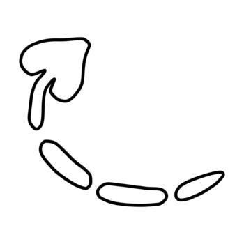 Abstract minimalist depiction of a curved line with segmented oval shapes and a distinct arrow like element, suggesting movement or direction. vector