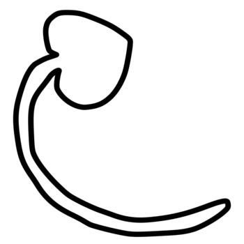 Abstract element resembling a sprouting seed or a stylized comma, rendered with bold black outlines on a white background. vector