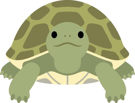 Simple Flat Design Smiling Turtle with Shell Reptile Illustration vector