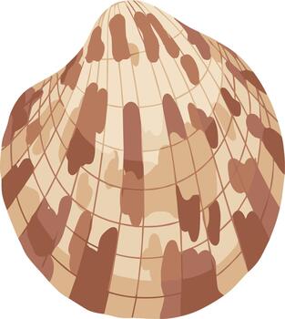 Flat Design Detailed Seashell with Grid Lines Decorative Element Illustration vector