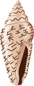 Simple Flat Style Seashell Illustration with Unique Line Pattern Detail vector