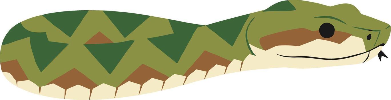 Flat Graphic Timber Rattlesnake Illustration with Geometric Pattern for Reptile Enthusiasts vector