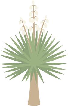Simple Flat Yucca Tree with White Flower Cluster Botanical Illustration vector