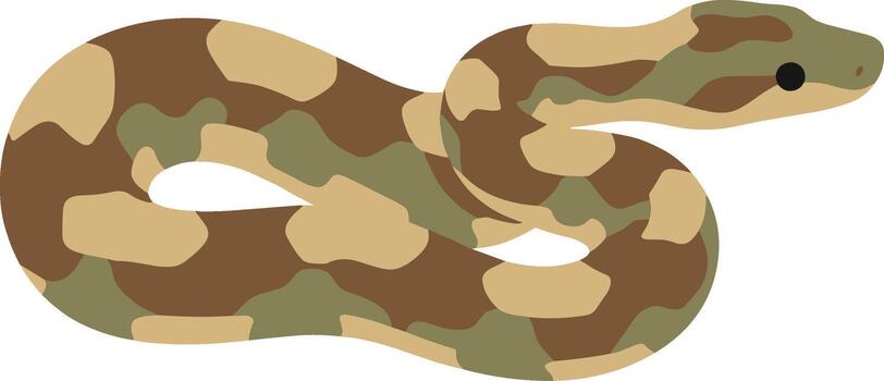 Flat Graphic Camouflage Patterned Ball Python Snake Animal Illustration vector