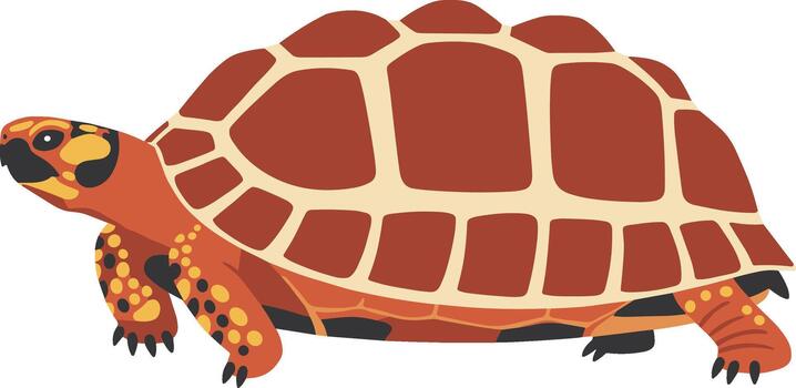 Flat Style Red Footed Tortoise Walking with Detailed Shell and Body Design vector