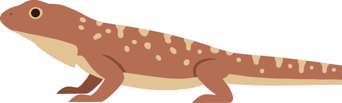 Simple Graphic Lizard Animal Illustration with Spotted Pattern Design Element vector
