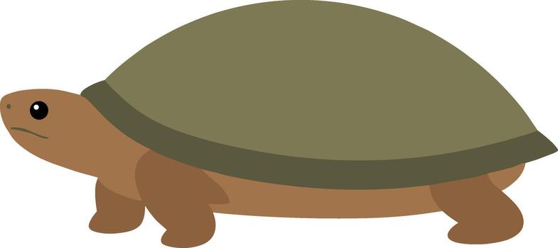 plano sencillo Tortuga ilustración personaje criatura reptil gráfico diseño elemento vector