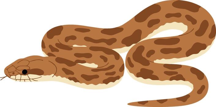 Flat Graphic Style Ball Python Snake Illustration Reptile Creature vector