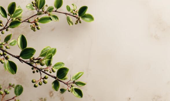 A leafy branch with green leaves and small berries photo