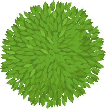 Green tree top view element with dense leaves illustration vector