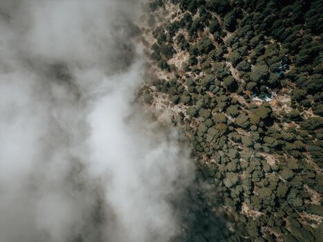 Aerial view of dense green forest partially covered by low clouds and fog. Natural mountain landscape with mist, texture, and soft diffused light photo