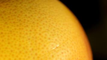 detaljerad studio antal fot av en enda, oskalade grapefrukt roterande 360 grader. de rörelse ställer ut de citrus- textur och skön, fläckfri yta. video