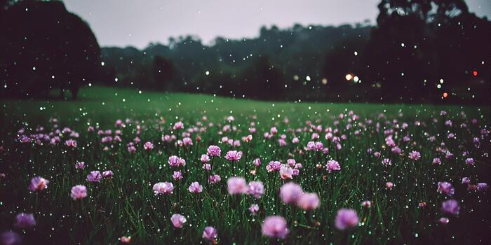A serene field of small purple flowers is covered in sparkling raindrops on a misty day with a soft bokeh effect photo