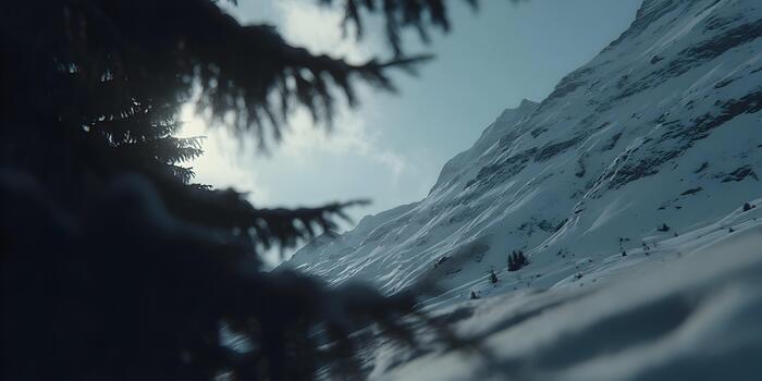 Dark tree branches frame a view of majestic snow covered mountains under a cloudy sky with soft sunlight photo