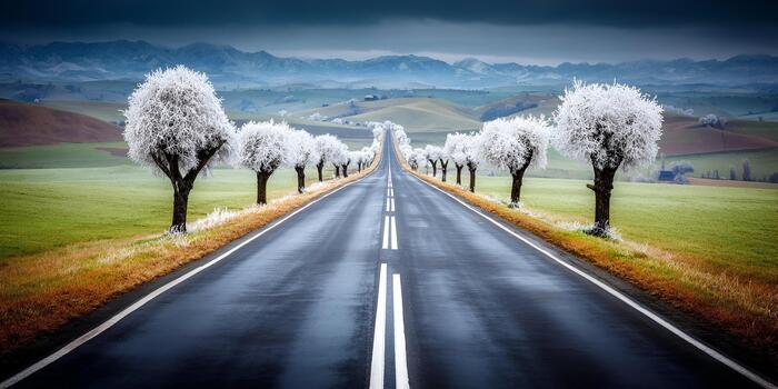 A long road stretches into the distance lined with frost covered trees and rolling green hills under a cloudy winter sky photo