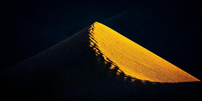 A dramatically lit golden yellow field creates a sharp triangular contrast against a deep dark background photo