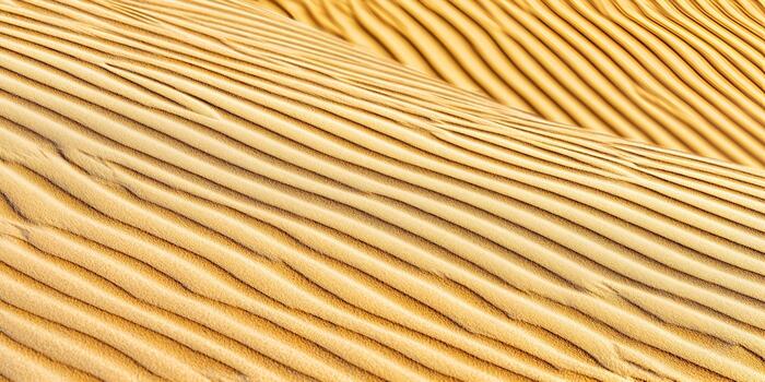 A close up view reveals beautiful wavy patterns on golden desert sand dunes creating an abstract texture photo