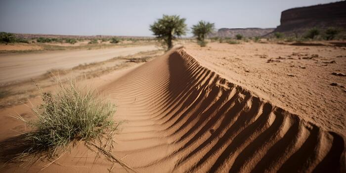 un cerca arriba ver de Desierto arena dunas demostración onda patrones y escaso vegetación debajo un claro cielo foto